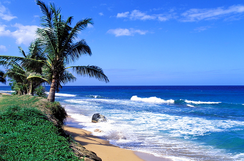 Anse Rifflet, Basse Terre, Guadeloupe, Caribbean, Central America