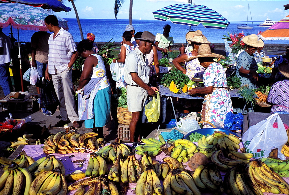 Saint Pierre market, Martinique, Caribbean, Central America