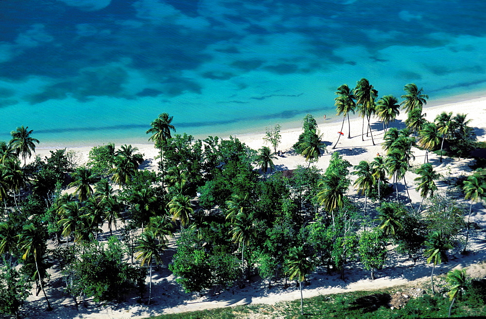 Aerial view, Anse Mays beach, Marie Galante island, Guadeloupe, Caribbean, Central America