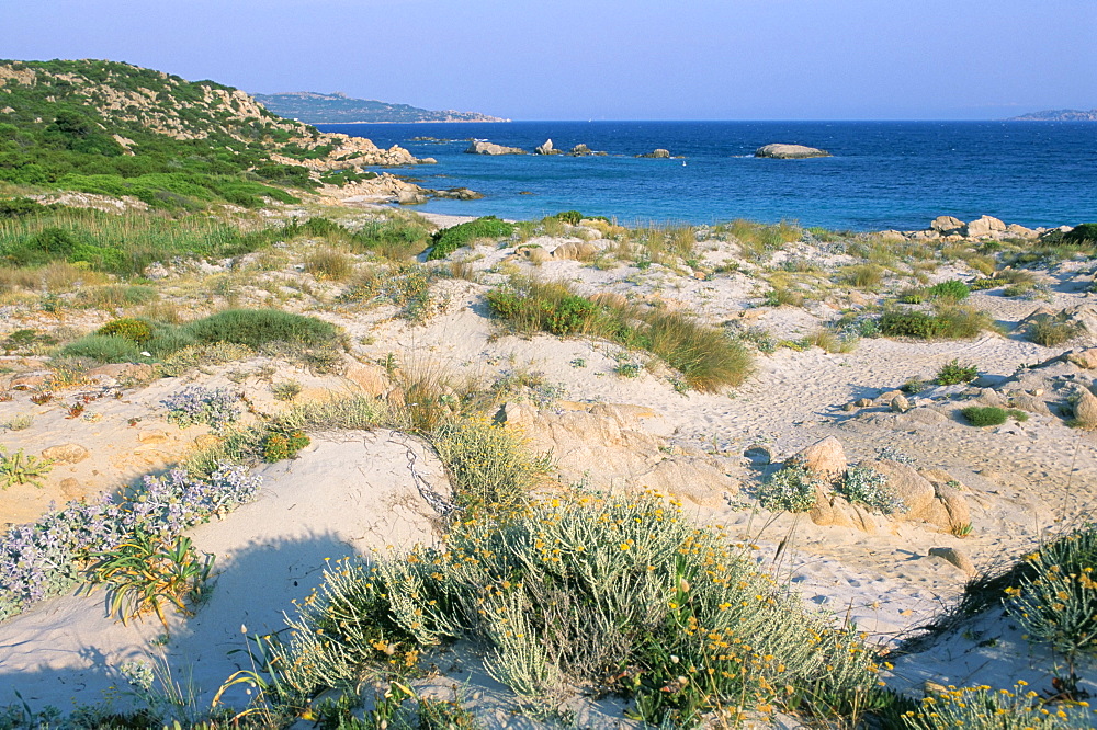 Cala Maiore, island of La Maddalena, Maddalena archipelago, island of Sardinia, Italy, Mediterranean, Europe