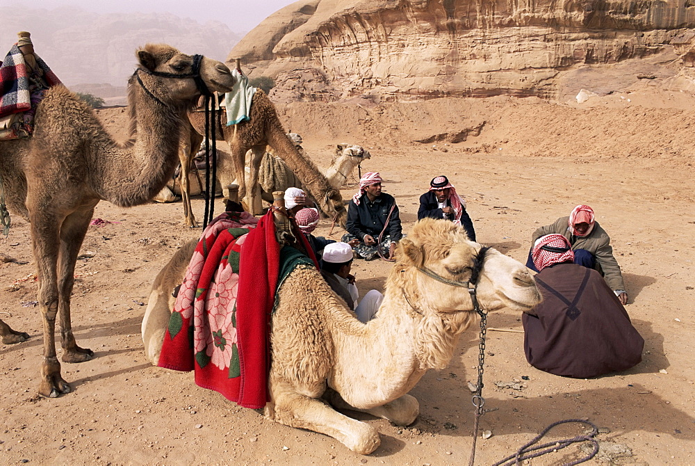 Group of Bedouin and camels, Wadi Rum, Jordan, Middle East