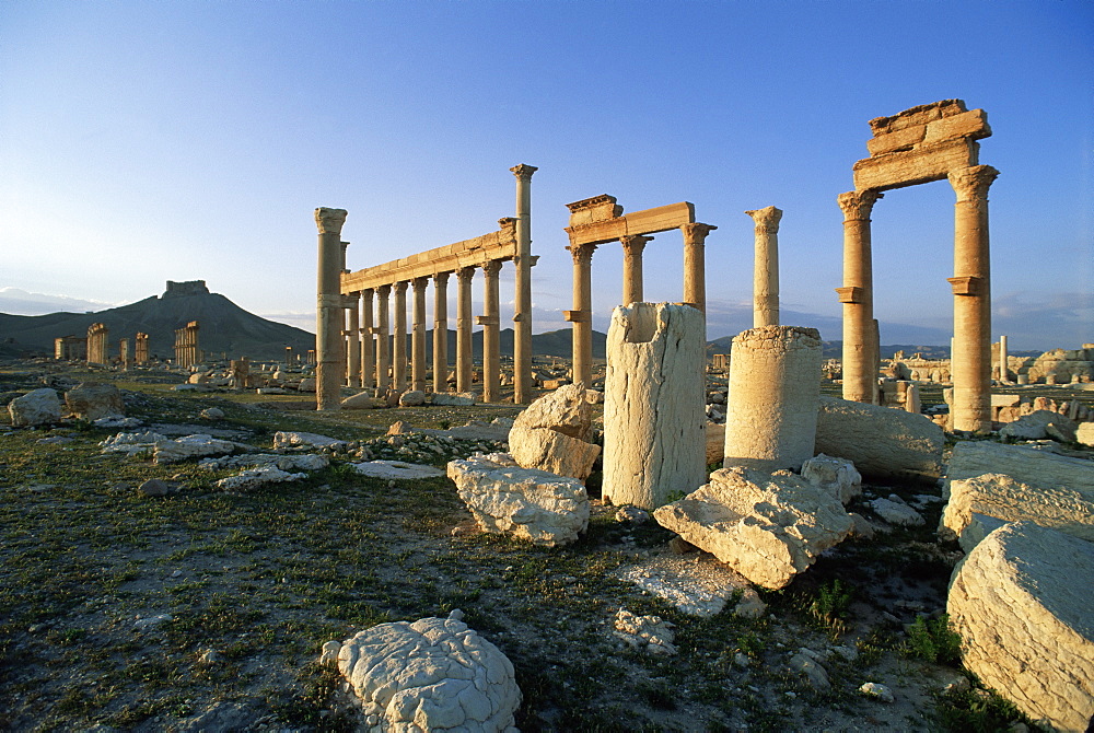 The archaeological site, Palmyra, UNESCO World Heritage Site, Syria, Middle East