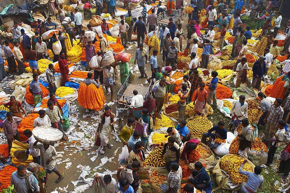 Mullik Ghat flower market, Kolkata (Calcutta), West Bengal, India, Asia 