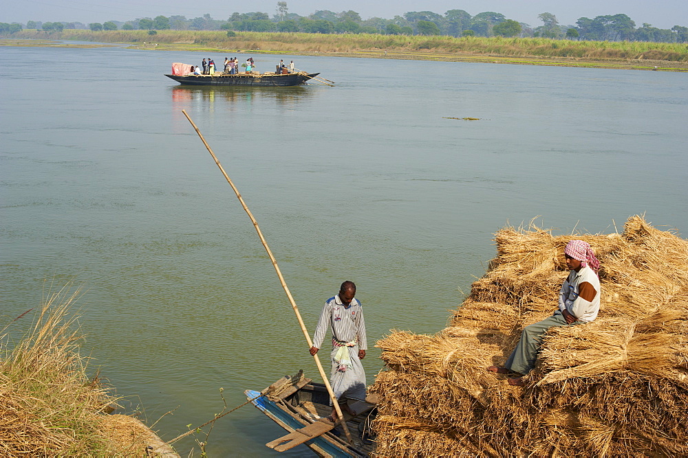 Rice straw transportation on the Hooghly River, part of the Riuver Ganges, West Bengal, India, Asia