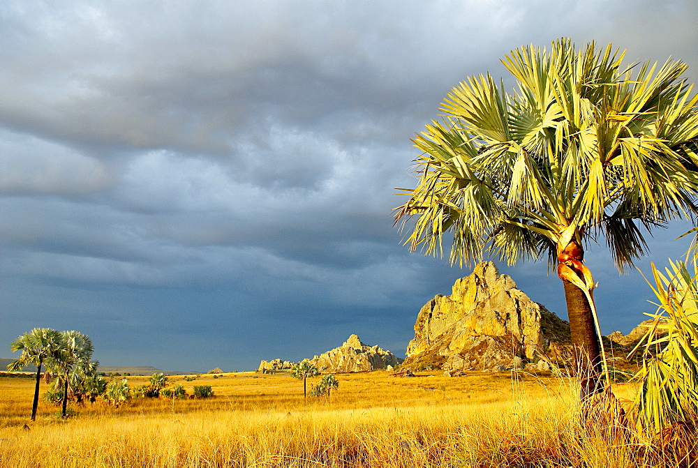 Sandstone massif in the Isolo National Park, Madagascar, Africa