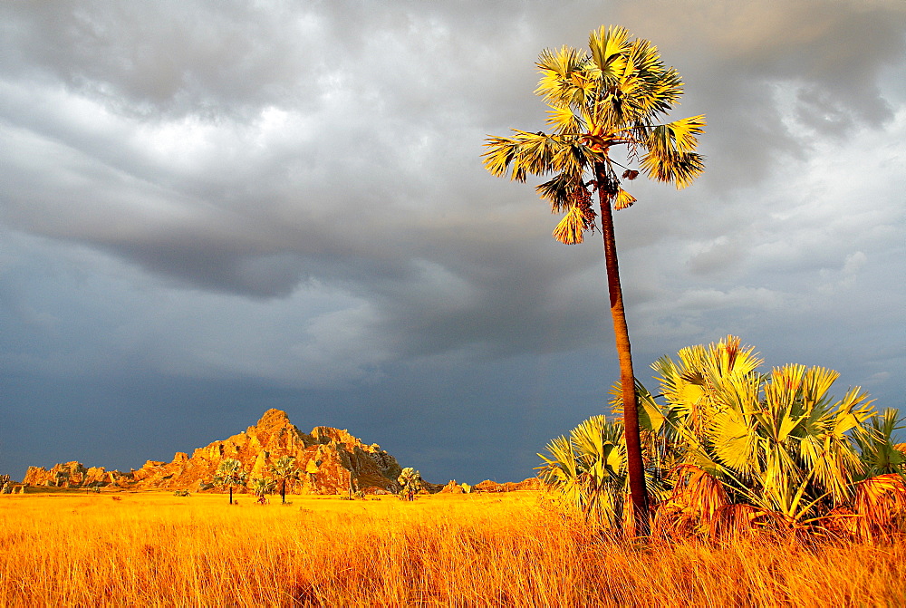 Sandstone massif in the Isolo National Park, Madagascar, Africa