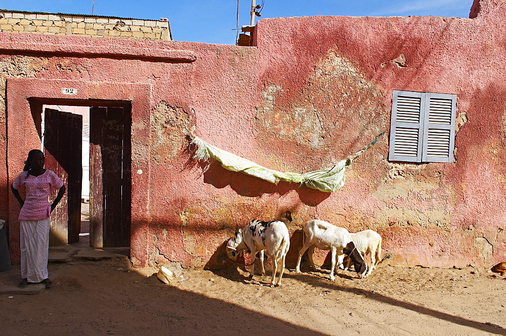 City of Saint Louis, UNESCO World Heritage Site, Senegal, West Africa, Africa