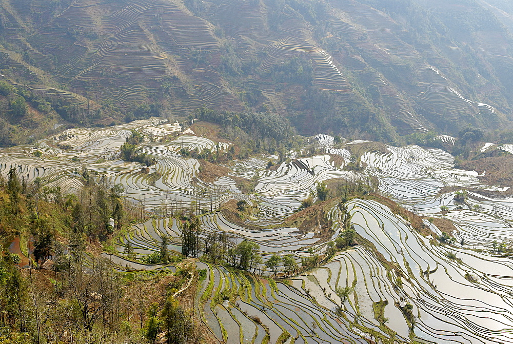 Terraced paddy-fields, Yuanyang, Yunnan, China, Asia 