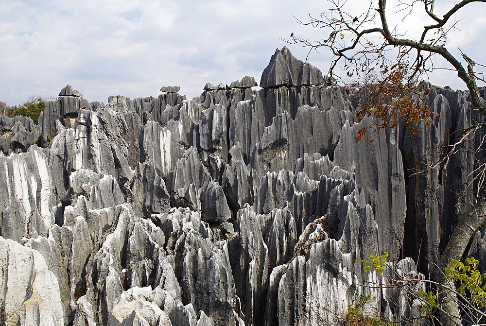 Limestone pinnacles in Shilin, Stone Forest, at Lunan, Yunnan, China, Asia 