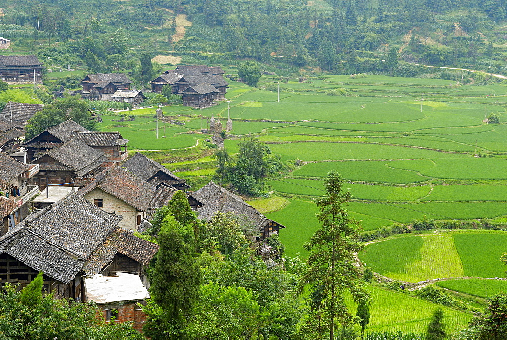 Shui ethnic group in the village around Libo, Guizhou Province, China, Asia 