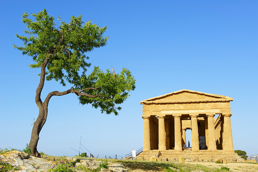 Concordia Temple, Valley of the Temples (Valle dei Templi), UNESCO World Heritage Site, Agrigento, Sicily, Italy, Europe 