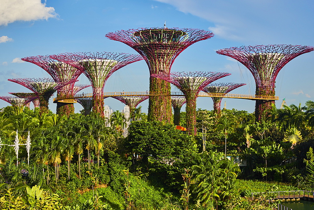 Supertree Grove, Garden By the Bay, botanic garden, Marina Bay, Singapore, Southeast Asia, Asia