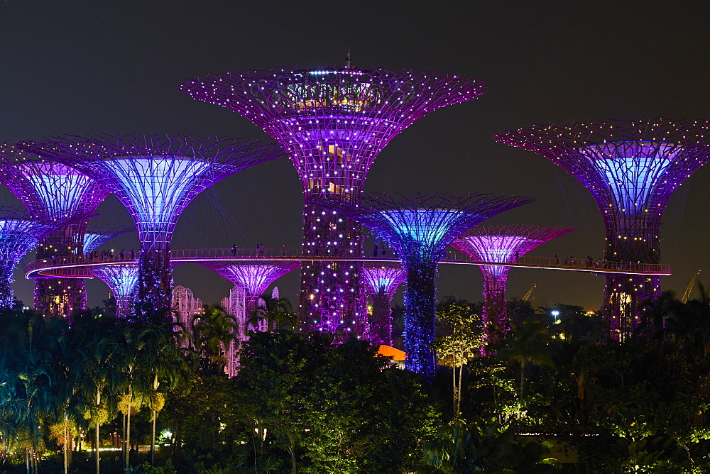 Supertree Grove at night, Garden By the Bay, botanic garden, Marina Bay, Singapore, Southeast Asia, Asia