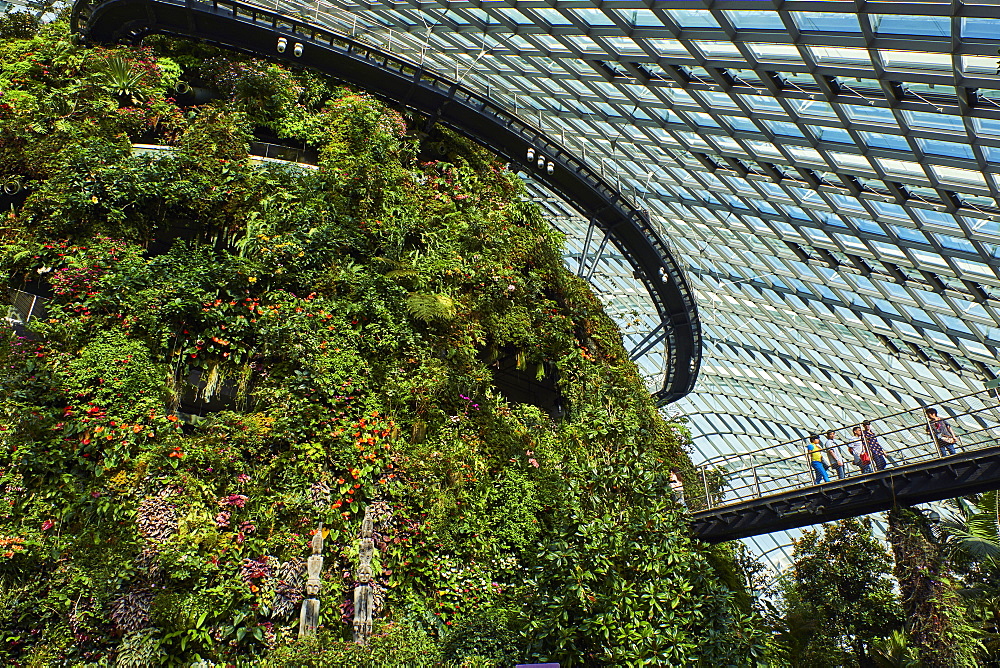 Garden By the Bay, Cloud Forest, botanic garden, the highest artificial waterfall in the world, Marina Bay, Singapore, Southeast Asia, Asia