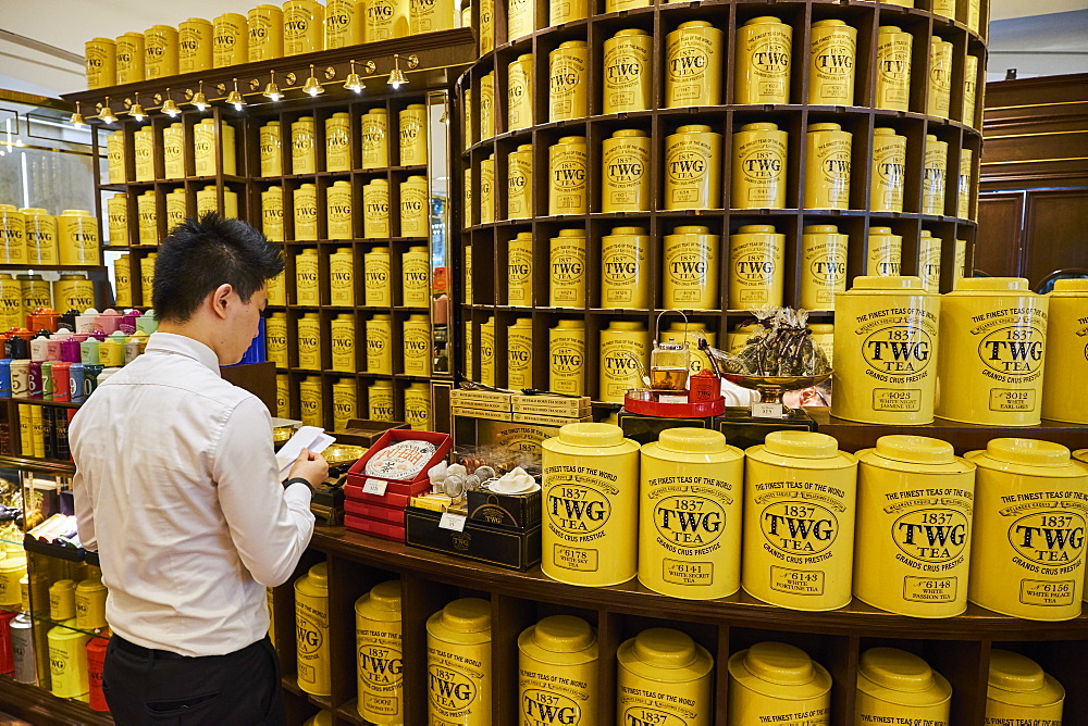 TWG Tea shop, ION Orchard, centre commercial, Orchard Road, Singapore, Southeast Asia, Asia