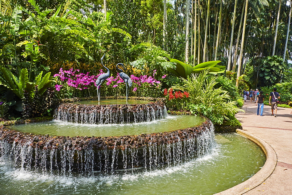 National Orchid Garden, Botanic Garden, UNESCO World Heritage Site, Singapore, Southeast Asia, Asia