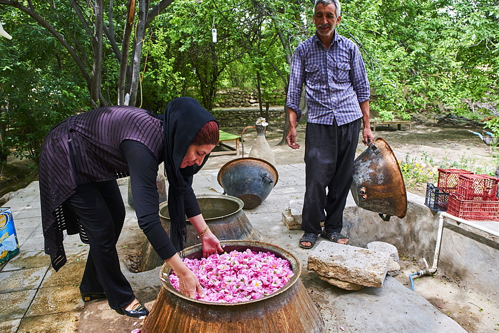 Distillation of rose for making rose water, Kashan, Isfahan Province, Iran, Middle East