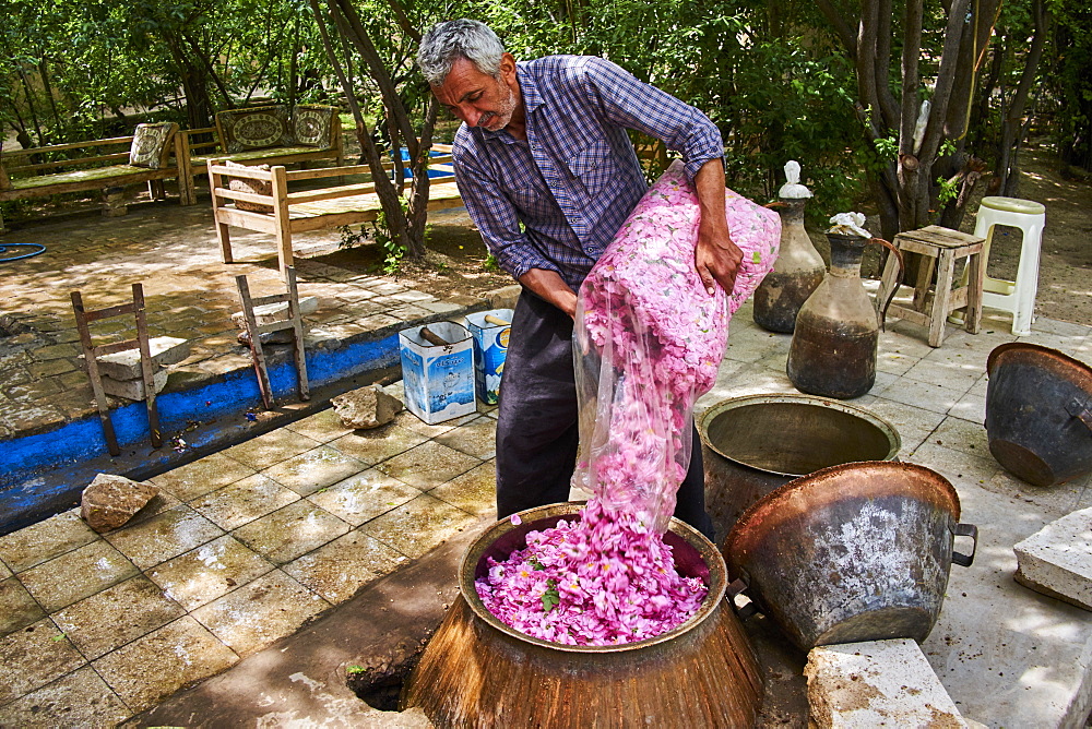 Distillation of rose for making rose water, Kashan, Isfahan Province, Iran, Middle East