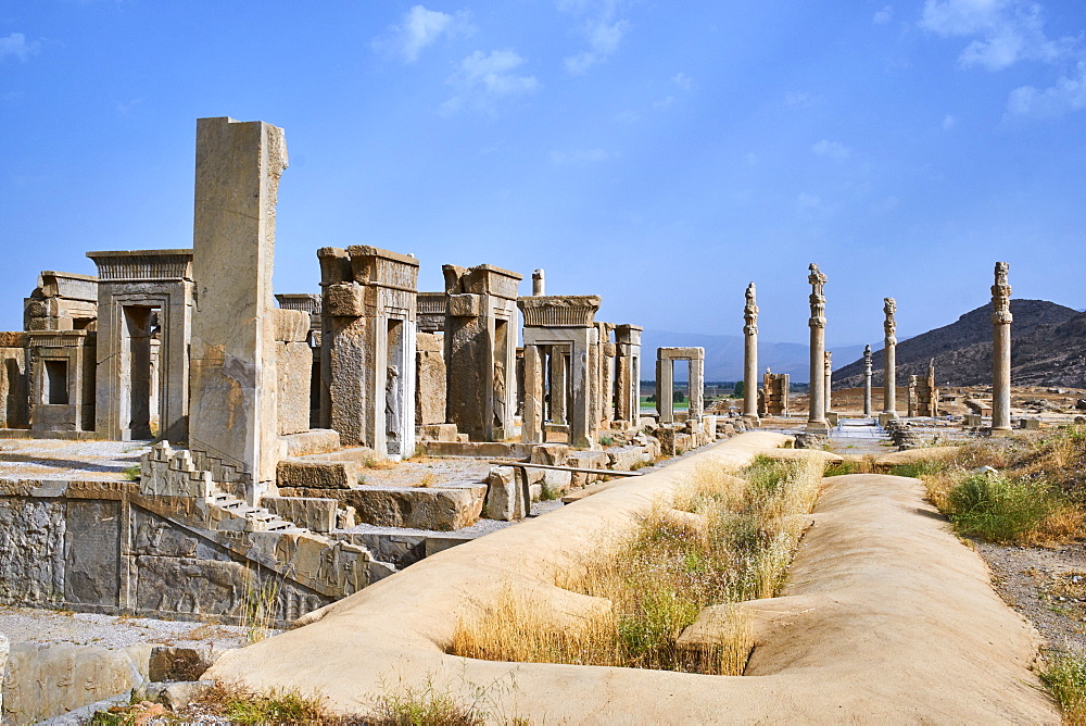 Pillars of the Apadana palace, Persepolis, UNESCO World Heritage Site, Fars Province, Iran, Middle East