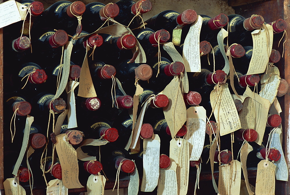 Bottles of wine with labels, Brunello, Montalcino, Tuscany, Italy, Europe