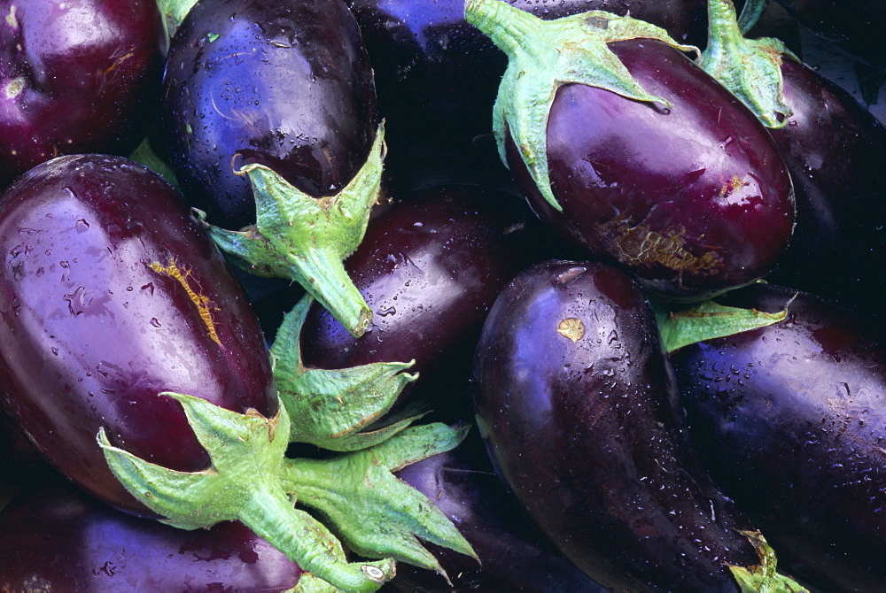 Aubergines, Tuscany, Italy, Europe