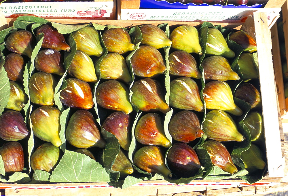 A box of figs for sale in a market, Tuscany, Italy, Europe