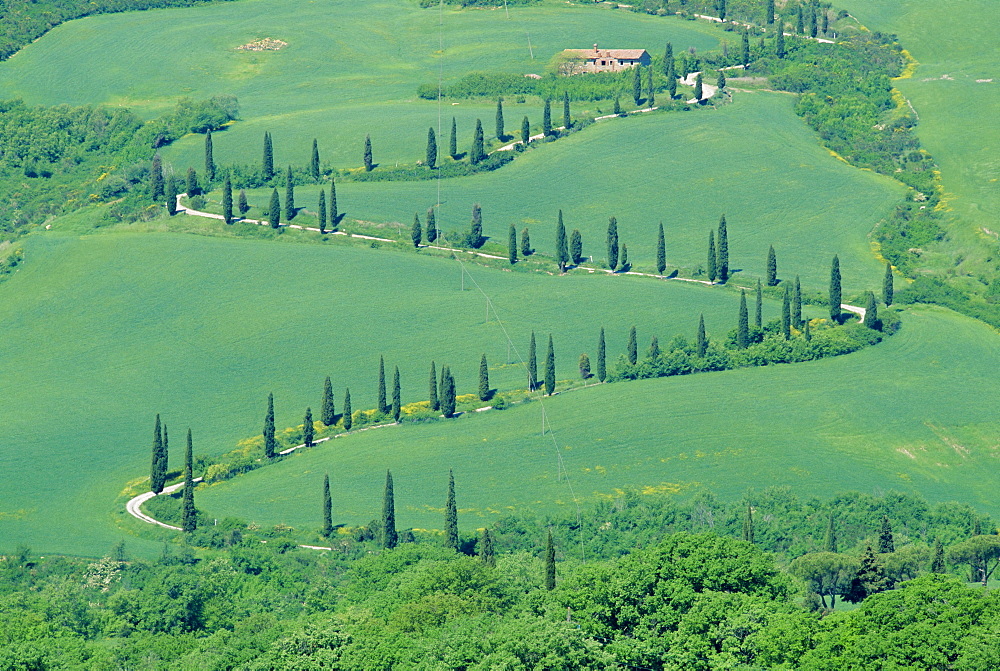 Road winding up hillside, Orcia Valley, Tuscany, Italy, Europe