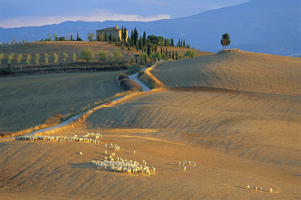 Sienna Province, Farmhouse near Pienza, Tuscany, Italy 