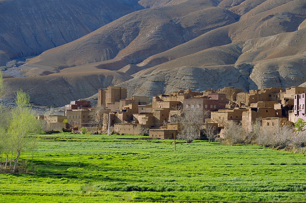 Dades valley, Dades gorges, Ouarzazate region, Morocco, North Africa, Africa