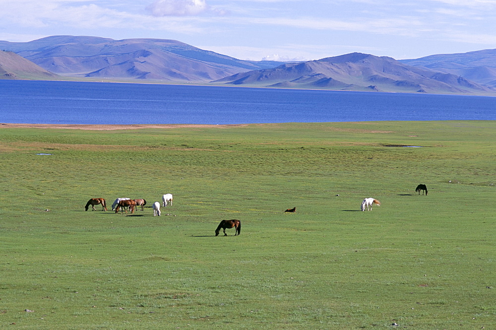 Lake Terkhiin Tsagaan Nuur, volcanic region of Khorgo, Arkhangai, Mongolia, Central Asia, Asia