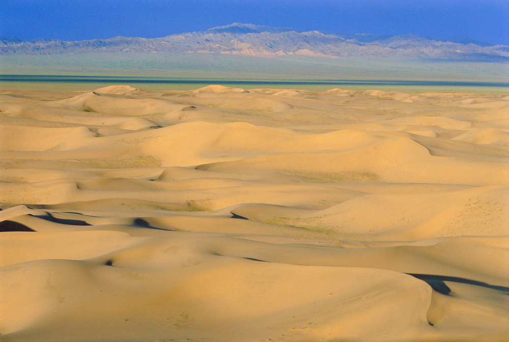 Khongoryn Els Dunes, Gobi Desert, Gobi National Park, Omnogov, Mongolia