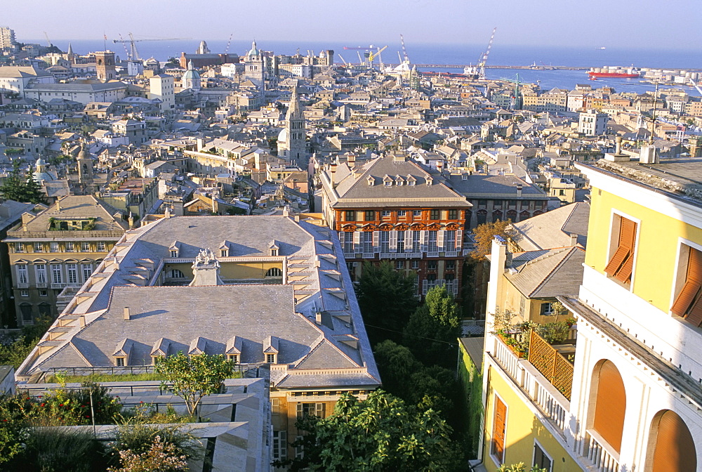 View over city, Genoa (Genova), Liguria, Italy, Mediterranean, Europe