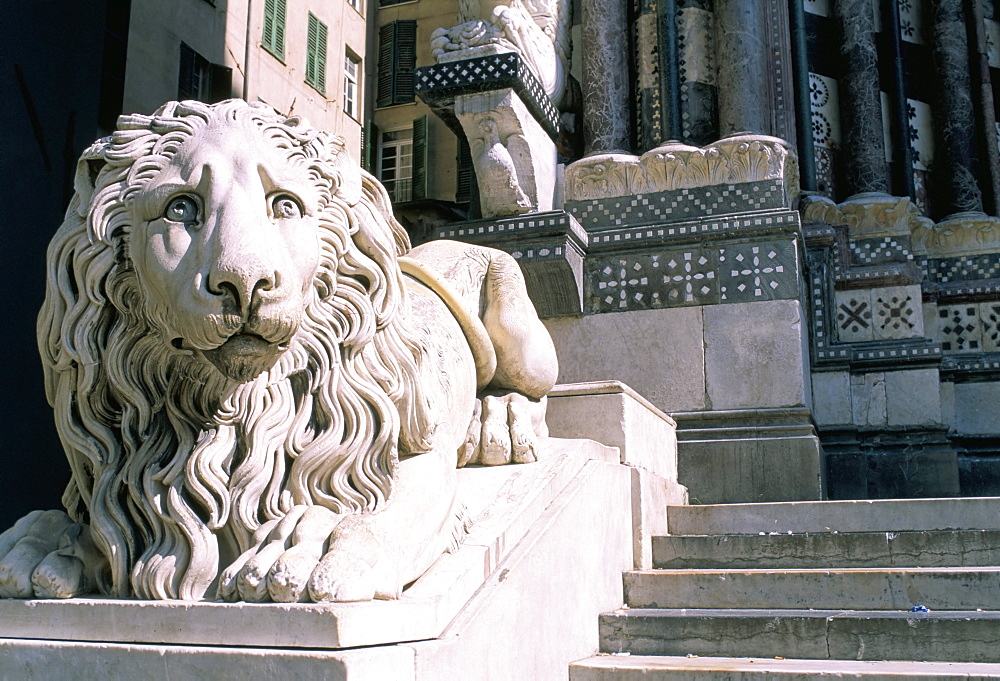 Lion, San Lorenzo Cathedral, Genoa (Genova), Liguria, Italy, Europe