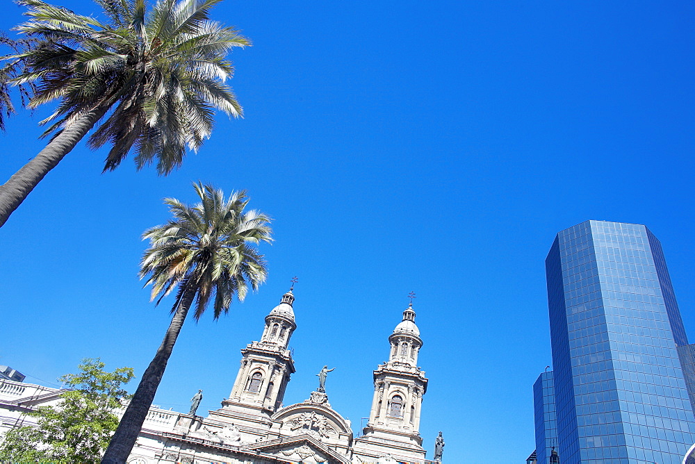 Metropolitan Cathedral, palm trees and downtown modern building, Plaza de Armas, Santiago de Chile, Chile, South America