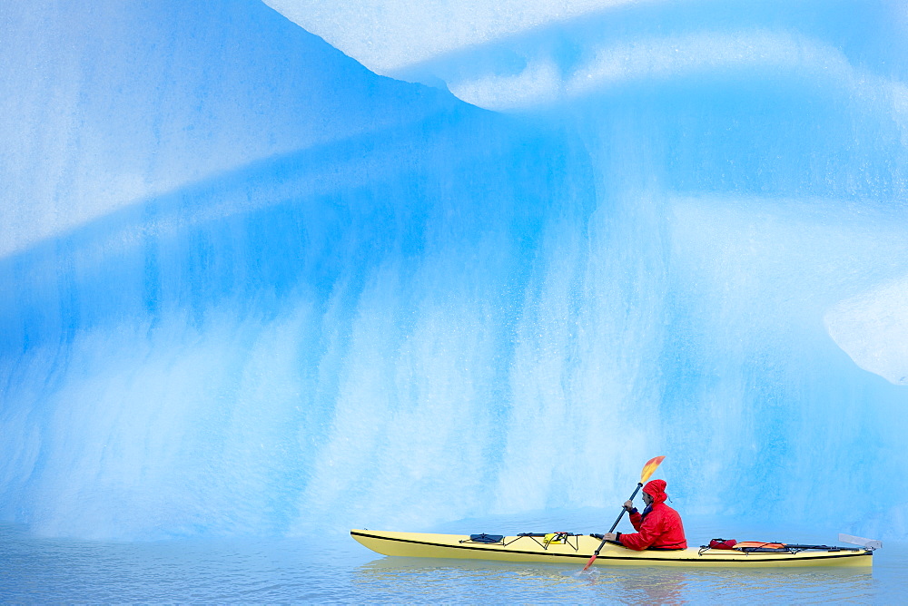 Person kayaking near icebergs, Lago Gray (Lake Gray) (Lake Grey), Torres del Paine National Park, Patagonia, Chile, South America