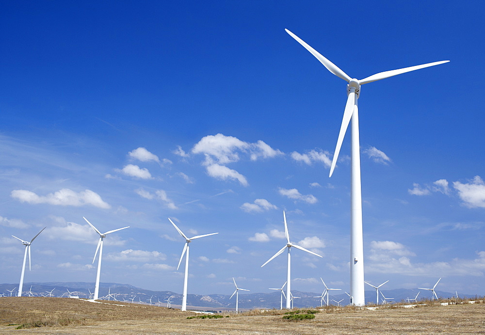 Windmills, Tarifa, Costa de La Luz, Cadiz Province, Andalucia (Andalusia), Spain, Europe