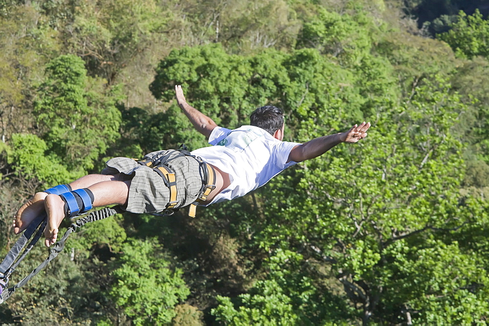 Bungee jumper falling, San Jose, Costa Rica, Central America