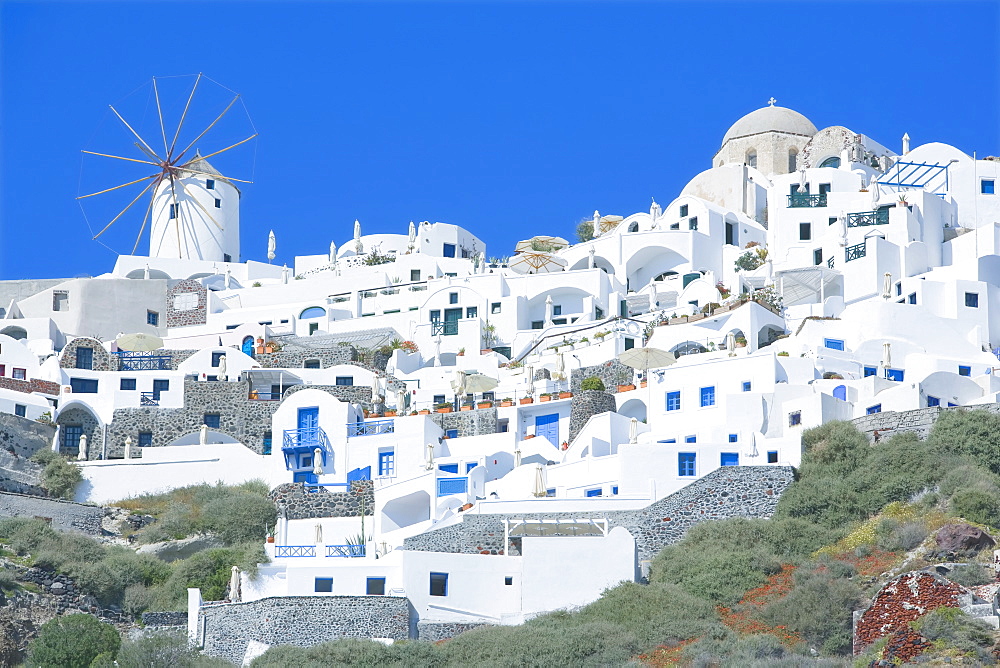 Stuccoed houses and windmill, Oia, Santorini, Cyclades Islands, Greek Islands, Greece, Europe