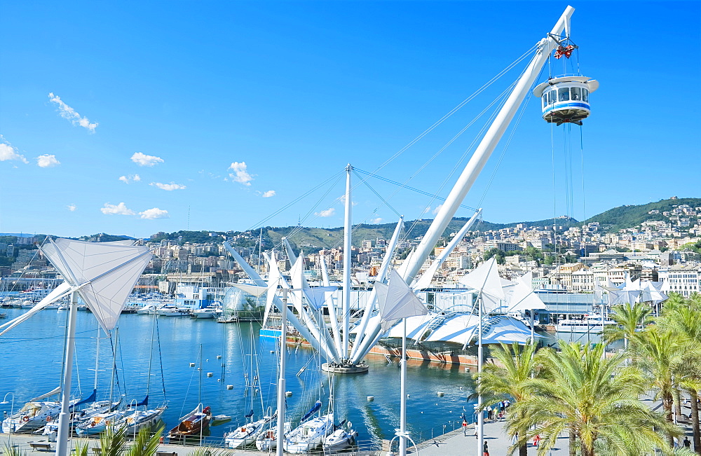 Il Grande Bigo, Porto Antico, Genoa, Liguria, Italy, Europe