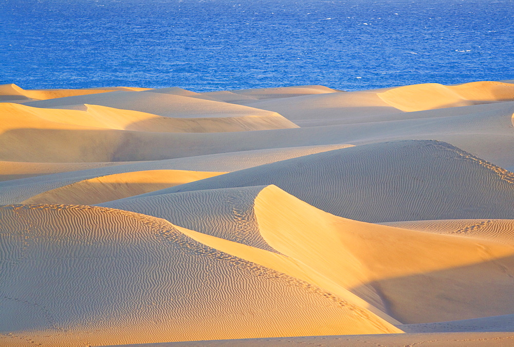 Sand dunes of Maspalomas and seaside, Gran Canaria, Canary Islands, Spain, Atlantic, Europe
