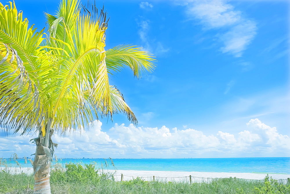 Tropical beach, Sanibel Island, Florida, United States of America, North America