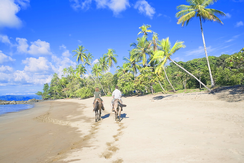 Horseback riding on tropical beach, Baia Drake, Osa Peninsula, Costa Rica, Central America