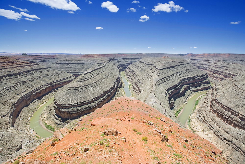 Goose Neck on Colorado River, Utah, United States of America, North America 