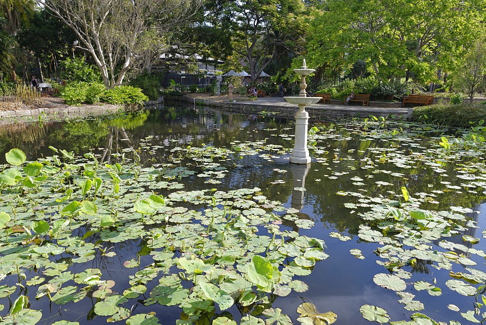 Royal Botanic Gardens, Sydney, New South Wales, Australia, Pacific 