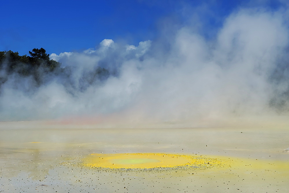 Waiotapu thermal area, Rotorua, North Island, New Zealand, Pacific