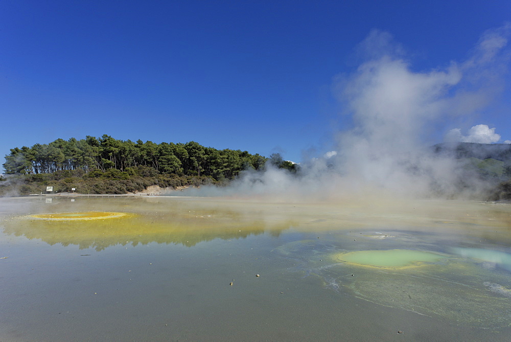 Waiotapu thermal area, Rotorua, North Island, New Zealand, Pacific