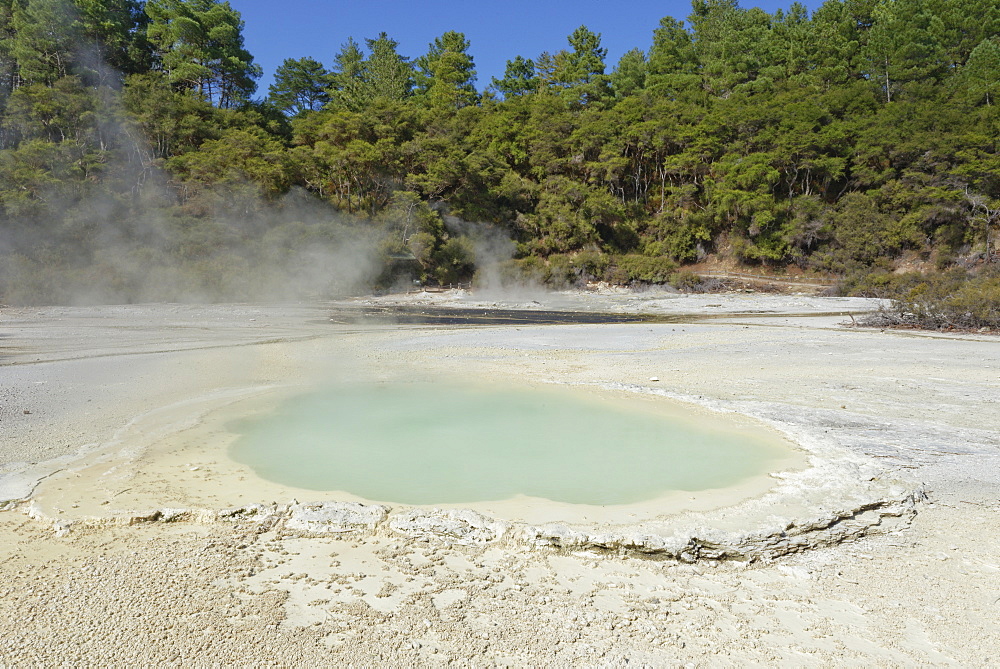 Oyster Pool, Waiotapu Thermal Area, Rotorua, North Island, New Zealand, Pacific