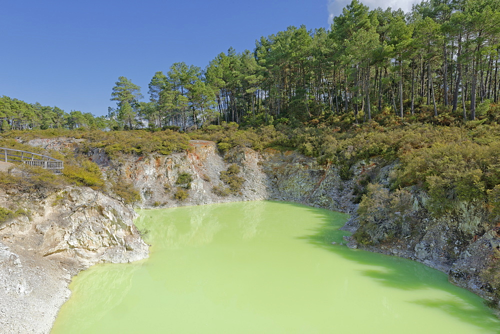 Devil's Bath, Waiotapu Thermal Area, Rotorua, North Island, New Zealand, Pacific