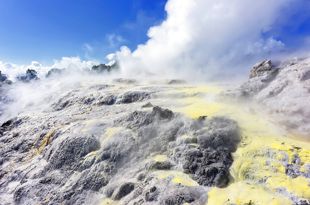 Pohutu Geyser and Prince of Wales Geyser, Rotorua, North Island, New Zealand, Pacific