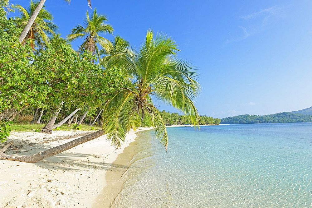 Tropical beach, Nanuya Lailai Island, Yasawa island group, Fiji, South Pacific islands, Pacific